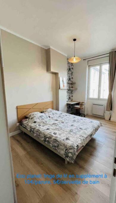 Appartement Renove Proche Du Parc De La Tete D'Or ビユールバンヌ エクステリア 写真