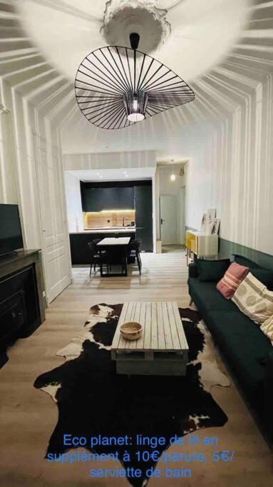 Appartement Renove Proche Du Parc De La Tete D'Or ビユールバンヌ エクステリア 写真